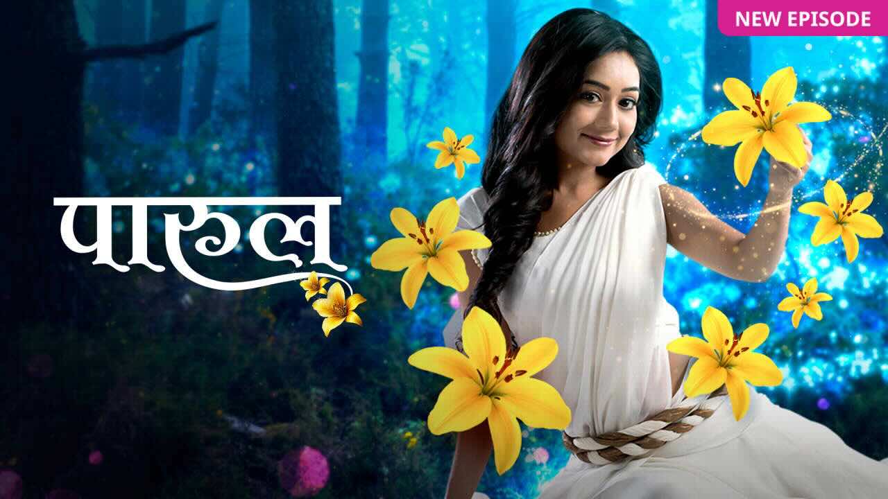 Parul 25th August 2025 Full Episode | Zee TV poster image on Desi Tashan